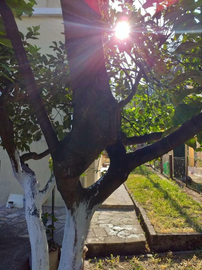Villa Rosa Garden House Corfu  Exterior photo