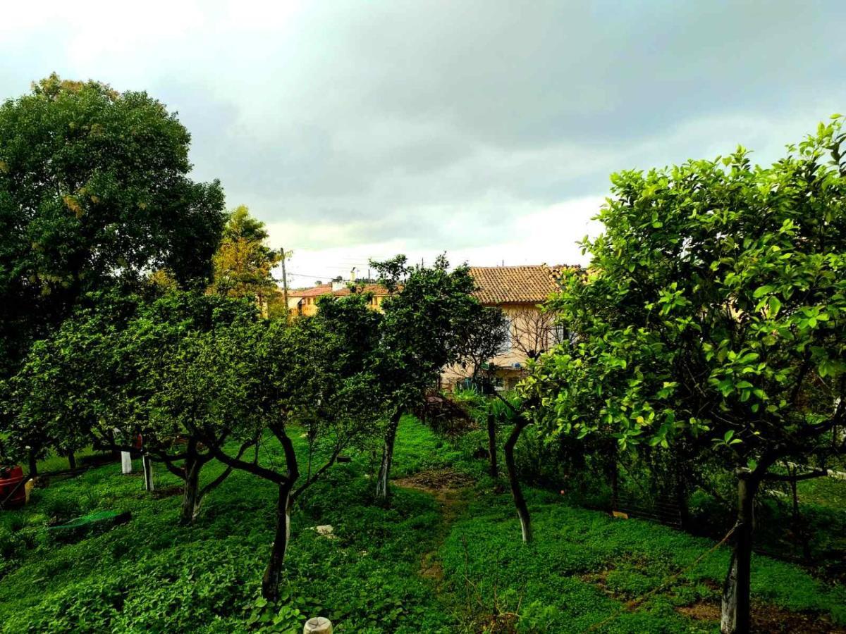 Villa Rosa Garden House Corfu  Exterior photo